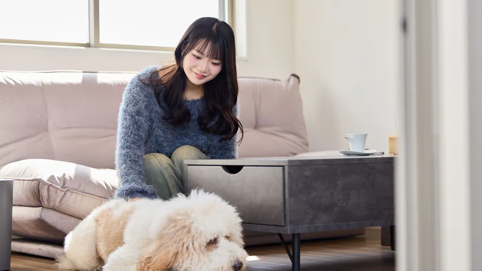 Hikone Lakeside Resort KOMOREVILLAGO