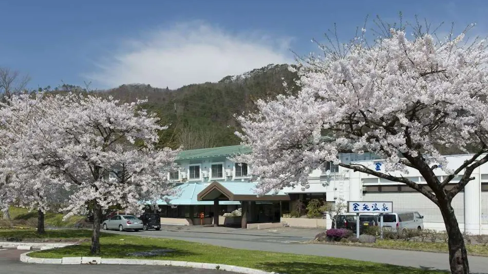 Hanamaki Onsenkyo Kanaya Onsen Hotel Galaxy Park Hanamaki