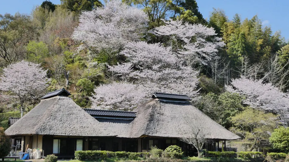 Onokoyaki Village