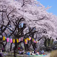 *【周边】桂城公园