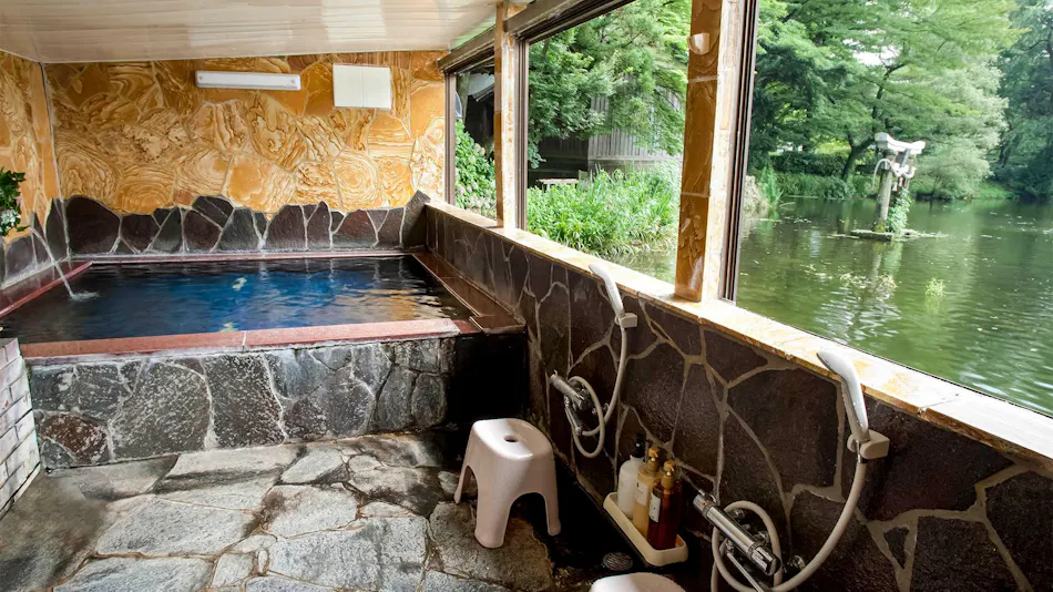 Yufuin Onsen Pension Kinrinko Toyonokuni
