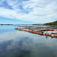 Fishing image