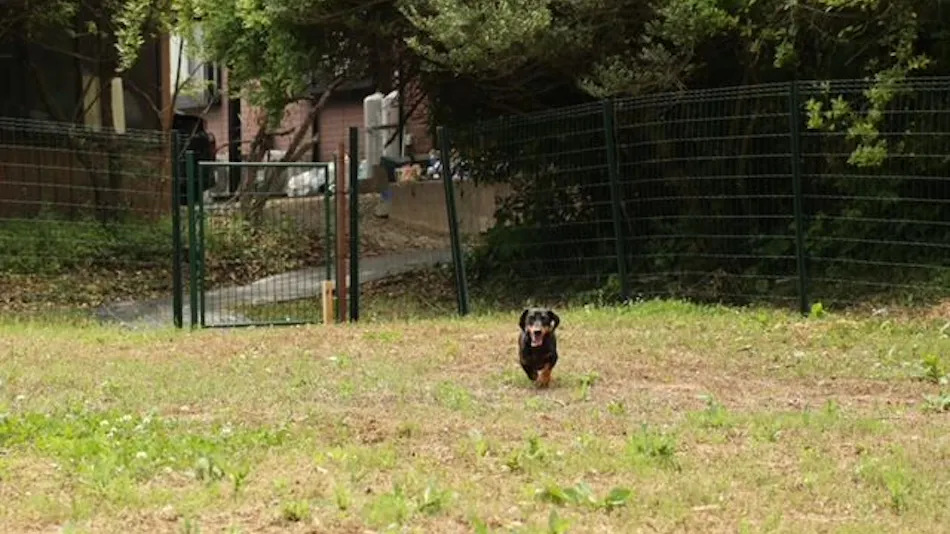 Private Dog Run Minpaku Roa