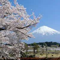 *【Sekitar】