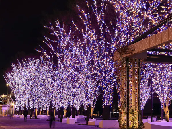 【Natal】Rayakan hari jadi di Yokohama Kamar dengan kue Natal & sampanye & check-out terlambat (termasuk sarapan)
