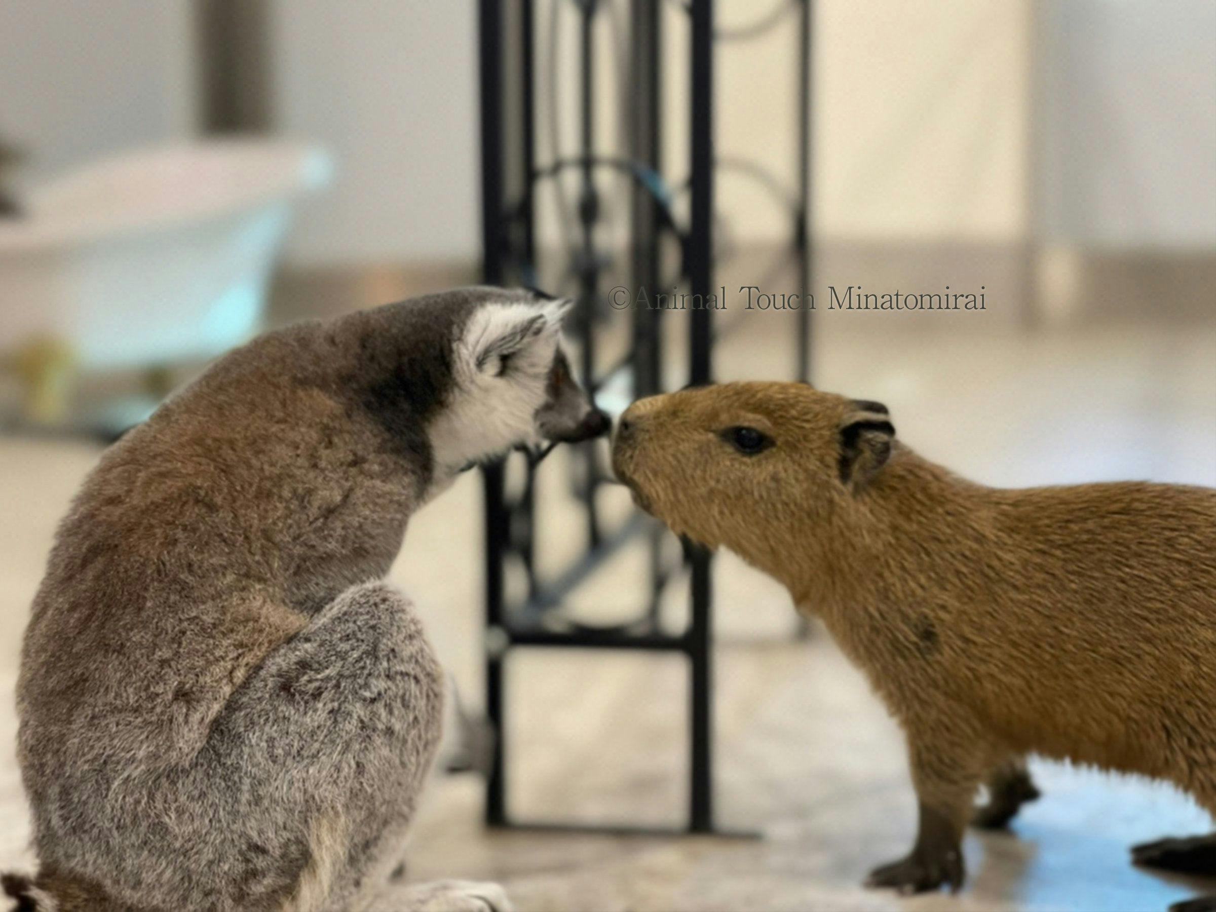 Yokohama Grand Intercontinental Hotel