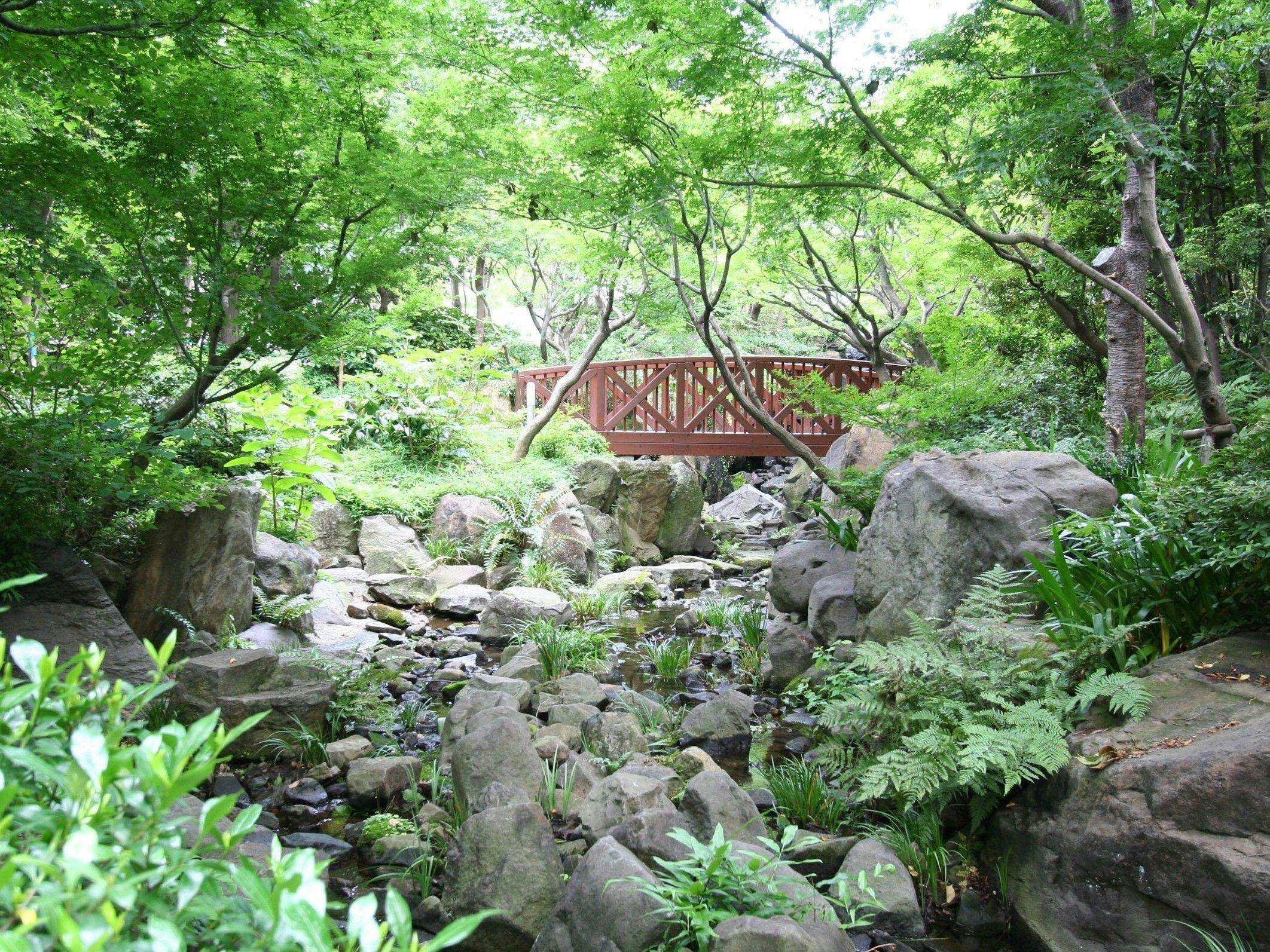 자연의 숲 (이미지)