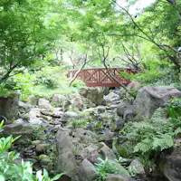 Hutan alami (Gambar)