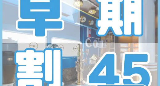 <早期45エコノミー>45日前までの早期予約ならこのプラン(お食事なし/パークチケット購入可)
