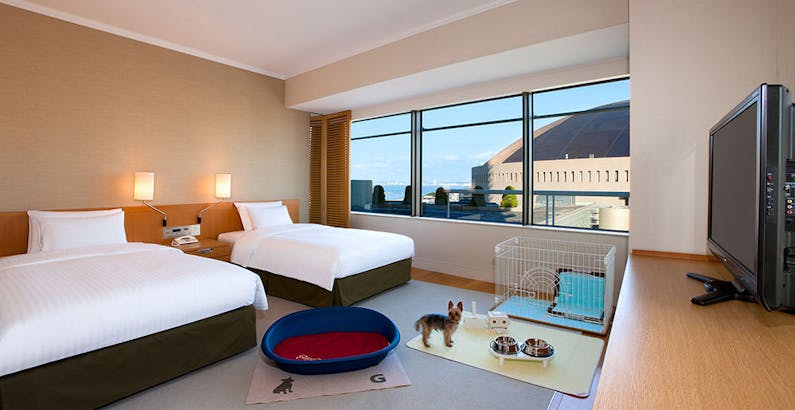 愛犬と一緒 目の前のビーチでお散歩もおすすめ プラン ヒルトン福岡 シーホーク 一休 Com