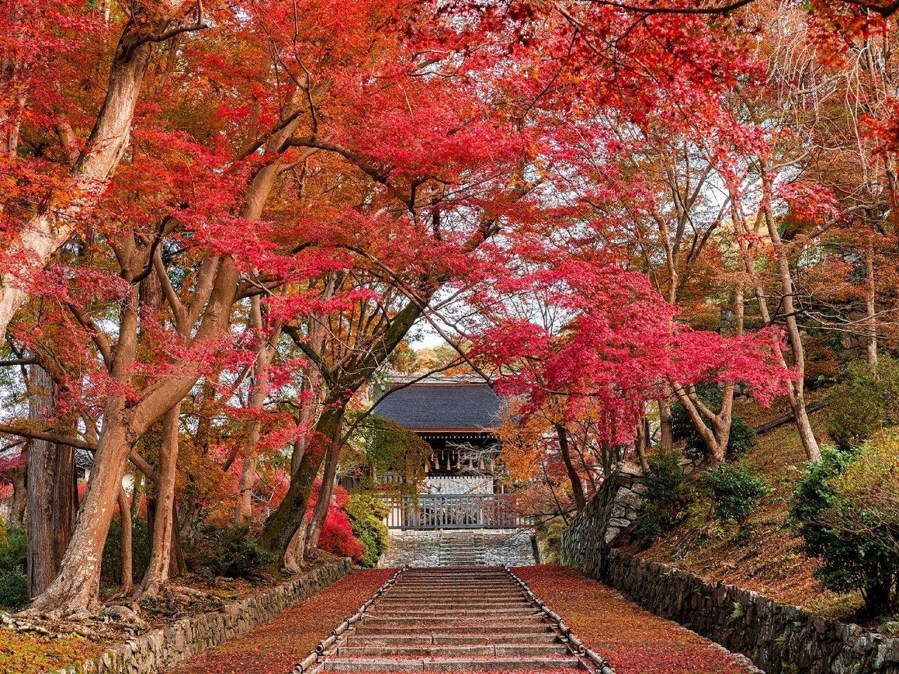 京都ブライトンホテル