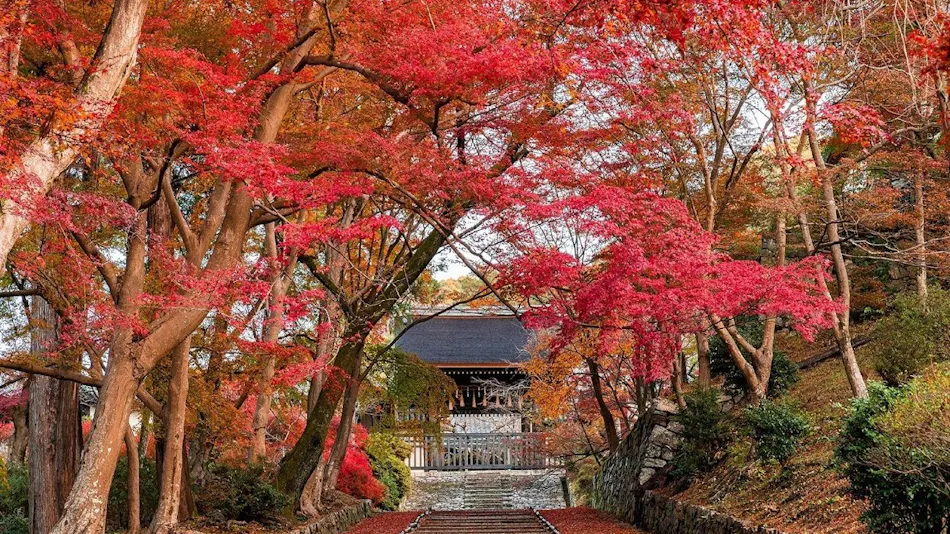 Kyoto Brighton Hotel