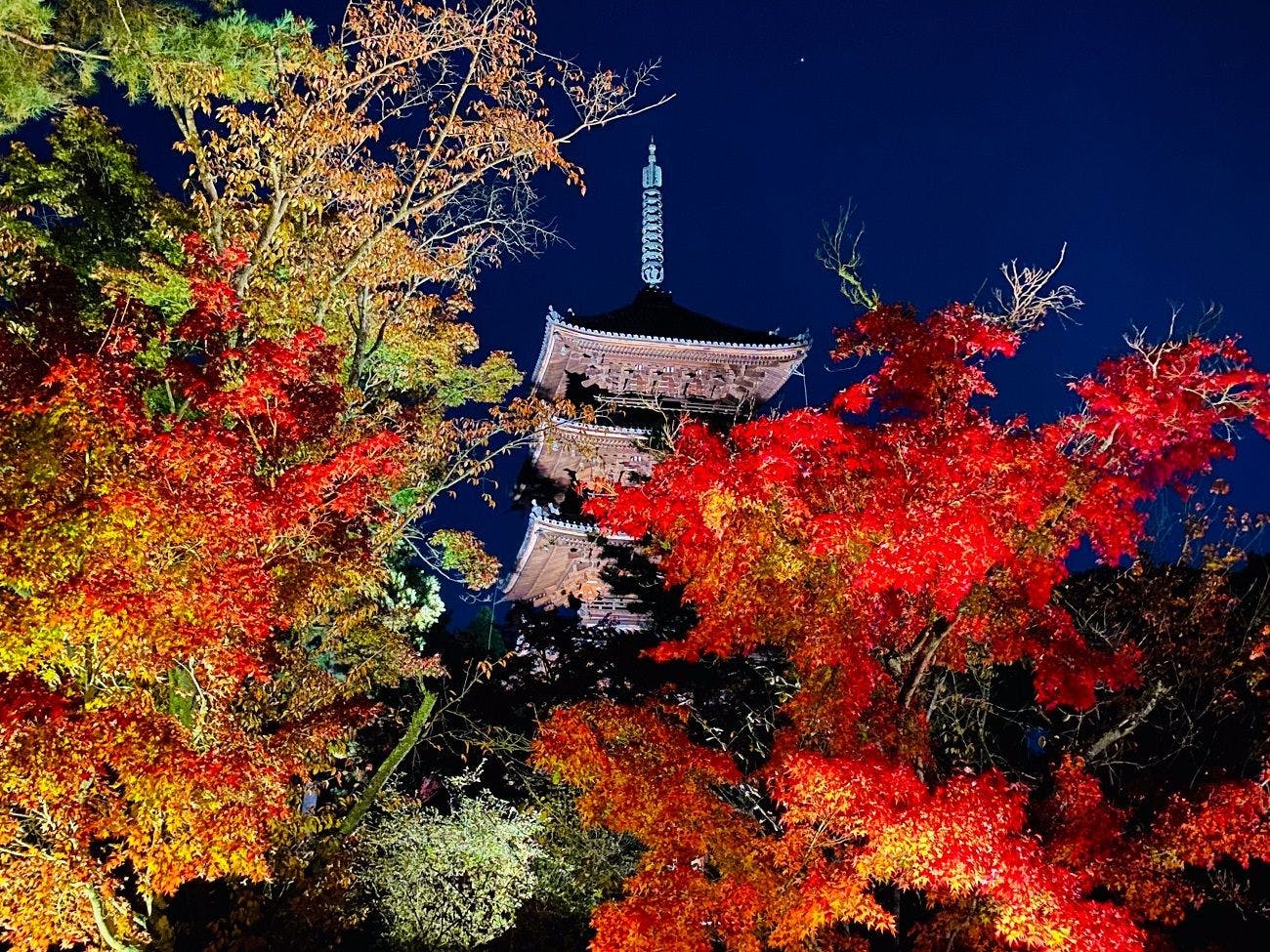 京都ブライトンホテル