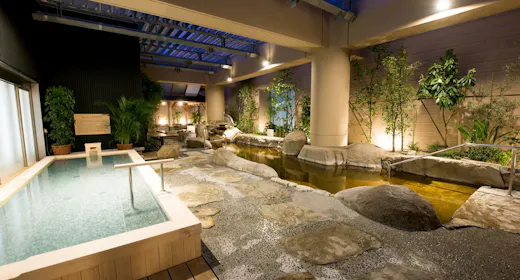 東京の天然温泉で癒しのひとときを!スパ ラクーア入館引換券付ステイプラン【素泊まり】