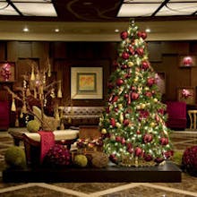 クリスマスディナー22 ネット予約は一休 Comレストラン クリスマスディナー22 ネット予約は一休 Comレストラン