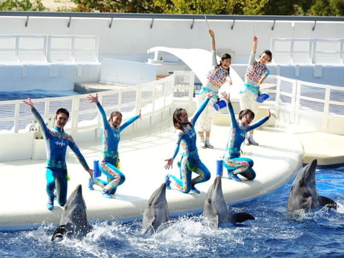 【Kyoto Aquarium】Buổi biểu diễn cá heo
