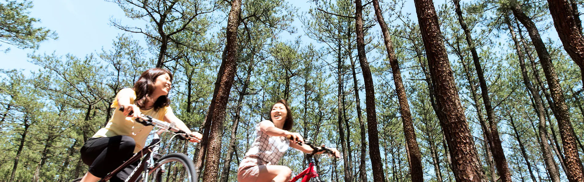 フェニックス・シーガイア・オーシャン・タワー