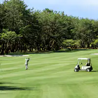 ฟีนิกซ์คันทรีคลับ