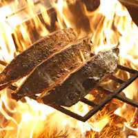 炙りたてのカツオの塩タタキは絶品!