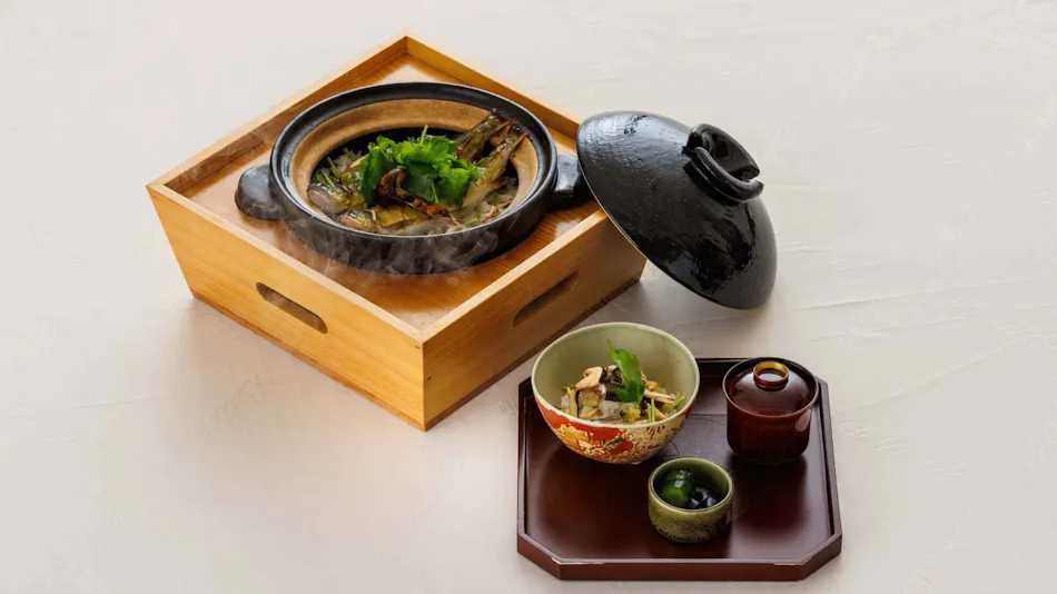 Bandai Atami Onsen "Hanare" Hidden Inn Auberge Suzukane