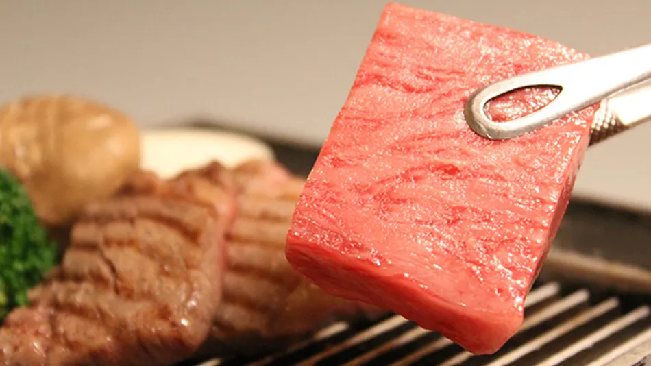 Gero Onsen Suimeikan