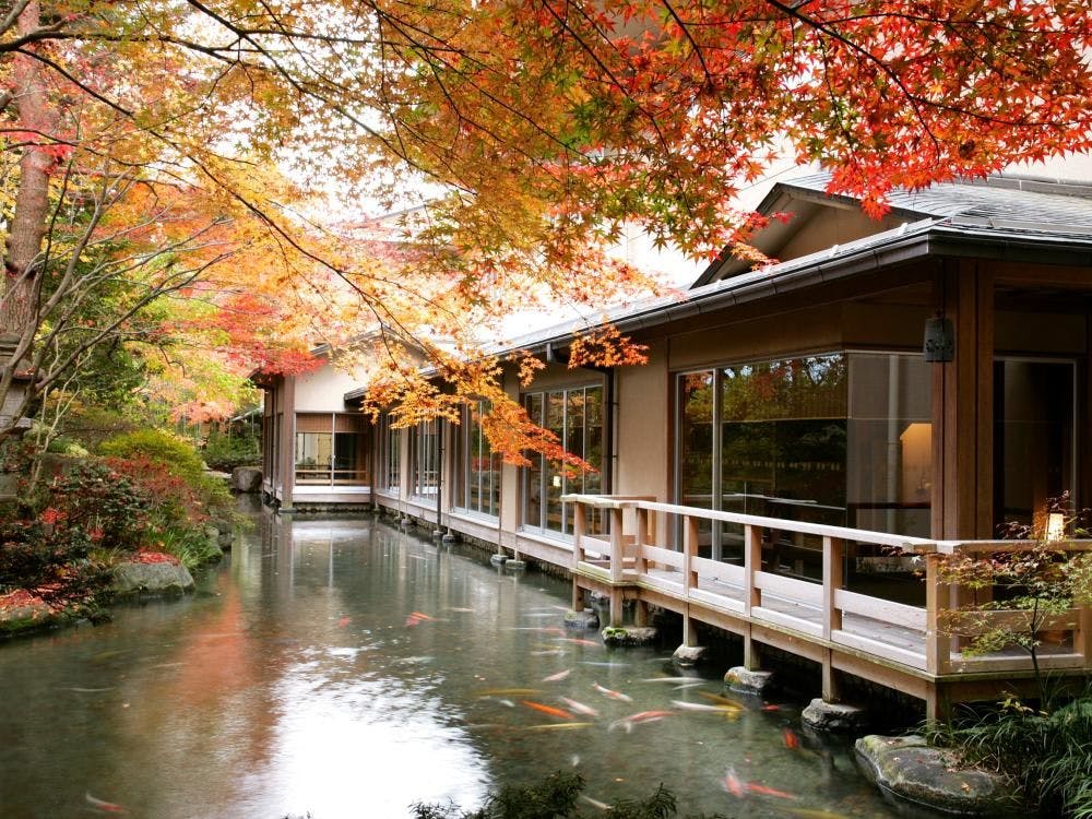 下呂温泉 水明館