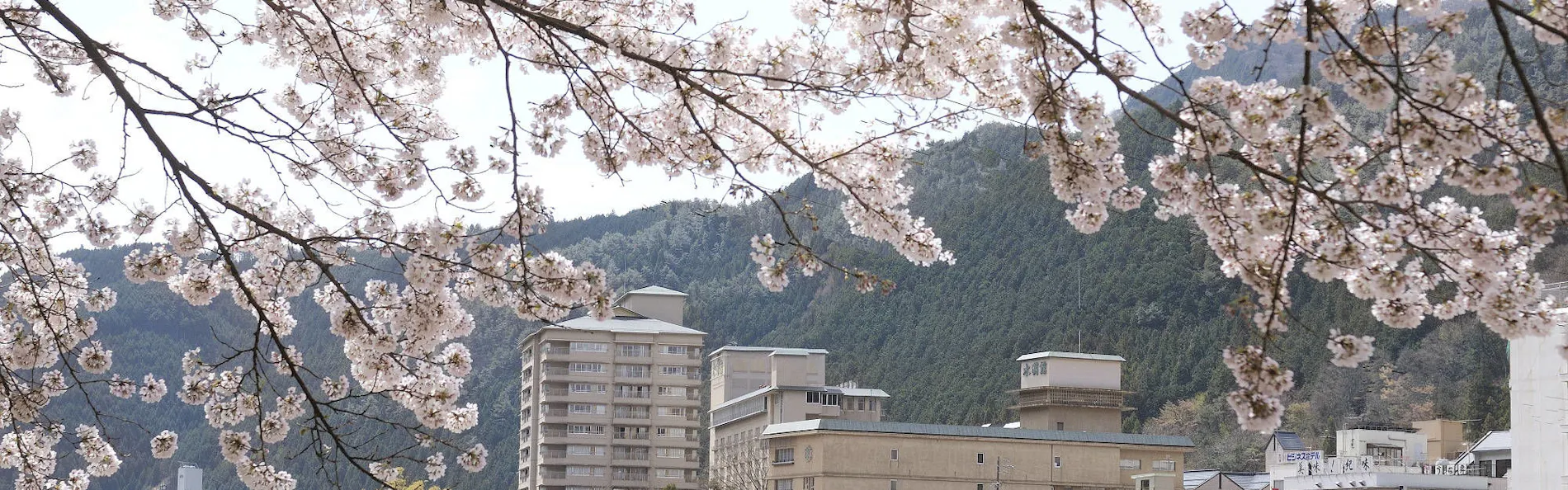 下呂温泉 水明館