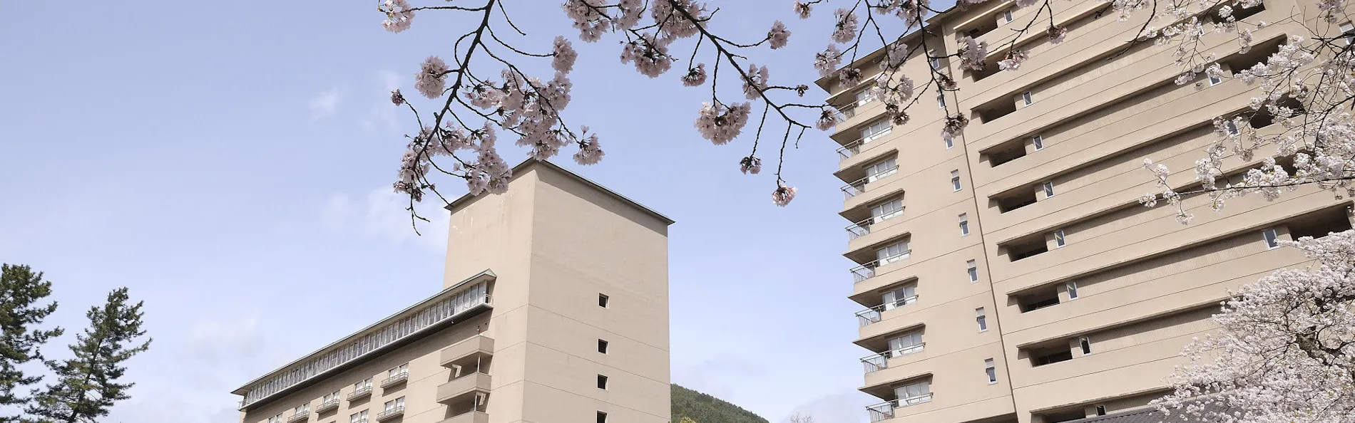 下呂温泉 水明館