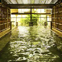 ■Open-Air Bath Wakatake■ Surrounded by a bamboo forest