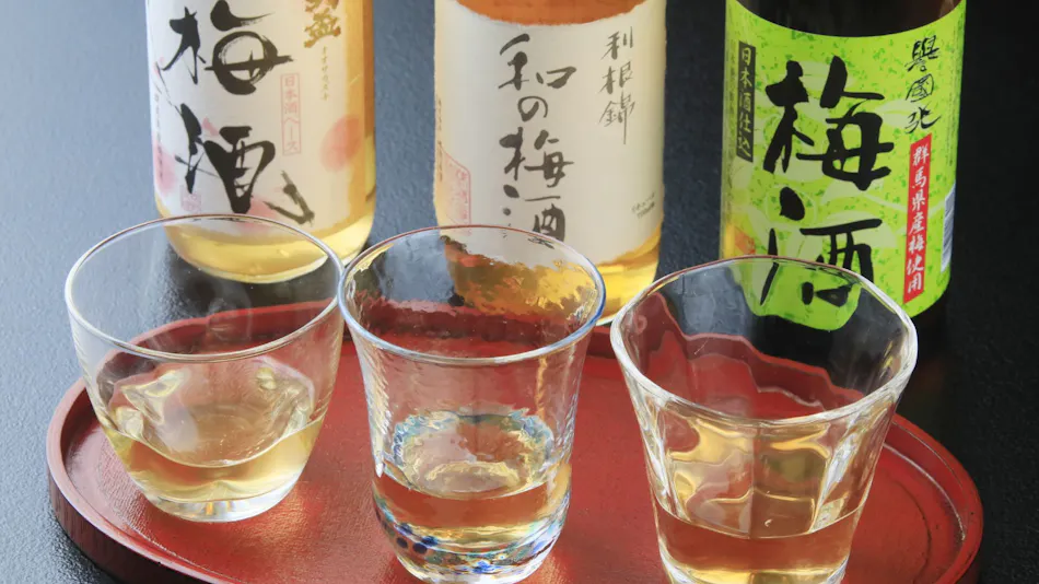 Ryokan Tanigawa