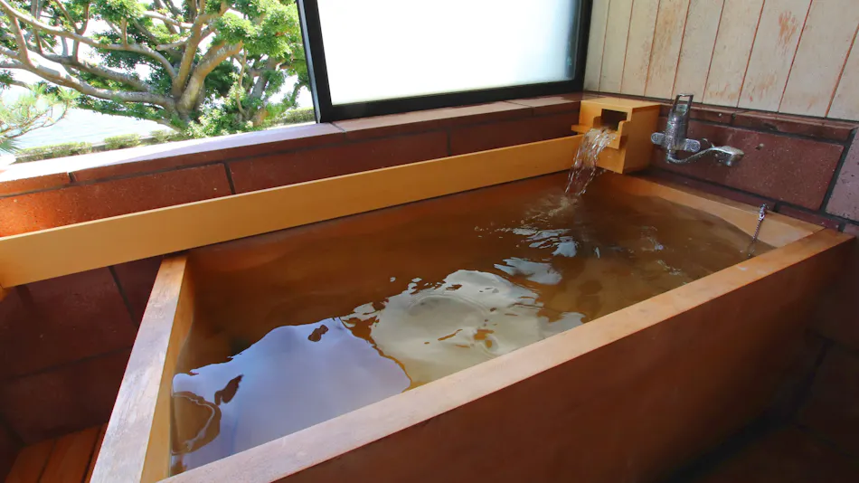 Kagoshima Sunamushi Onsen Ibusuki Hakusuikan