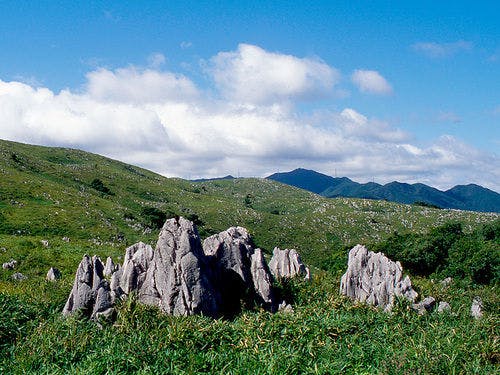 Akiyoshi Cave (approximately 45 minutes by car from the accommodation)