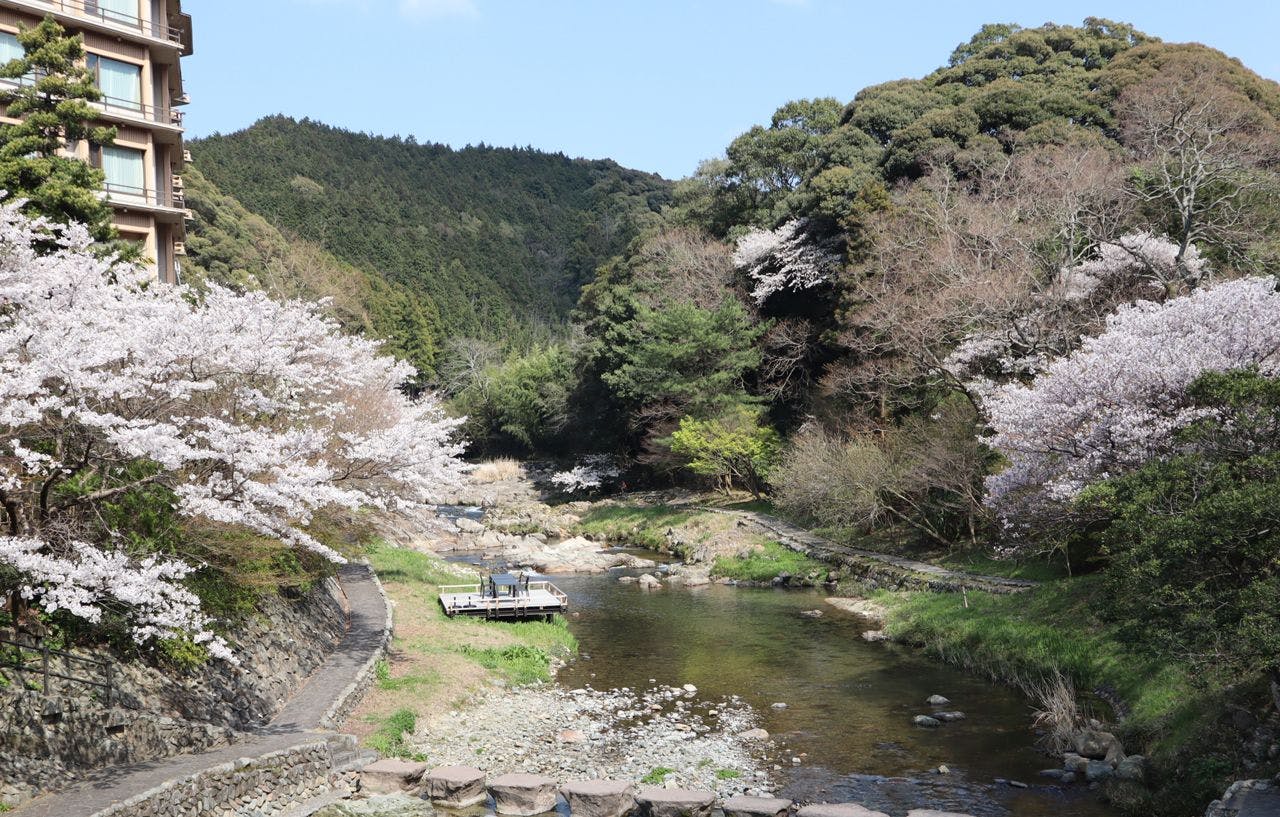 Cherry blossoms on the Otozure River in front of Otanisanso