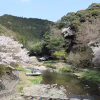 Cherry blossoms on the Otozure River in front of Otanisanso