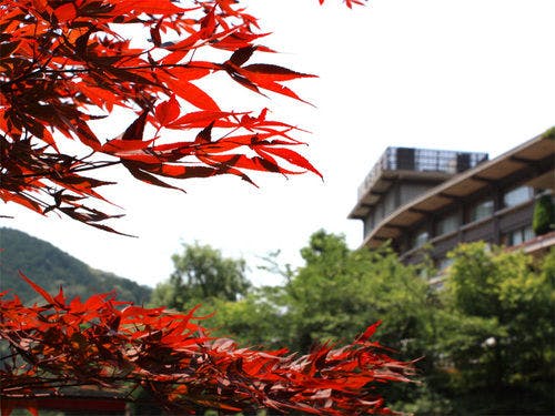 红叶的大谷山庄