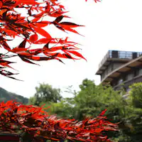 红叶的大谷山庄