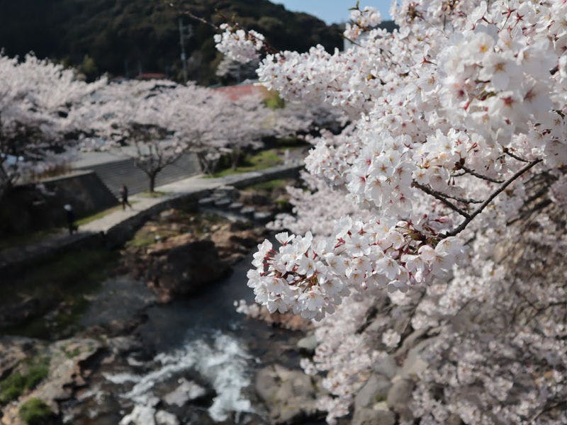 大谷山荘