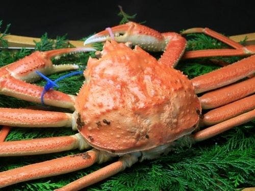 城崎温泉の宿で カニ をご紹介 最上のひとときをどうぞ 一休 Com