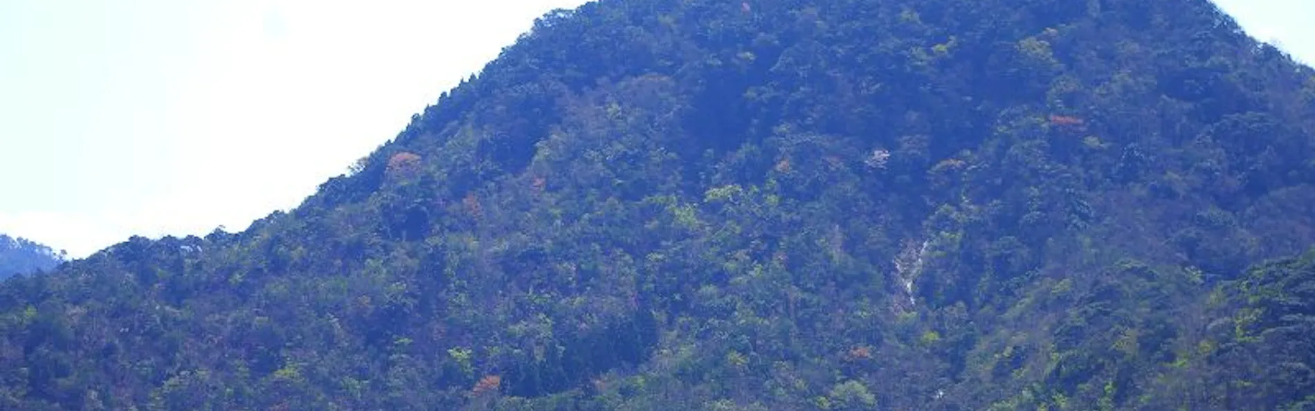 城崎円山川温泉 銀花