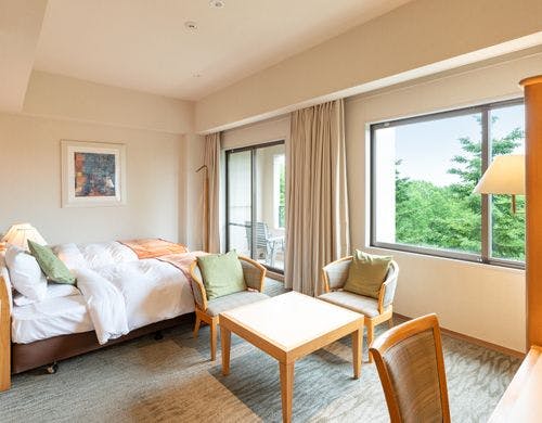 エコノミーツイン（喫煙、定員2名）