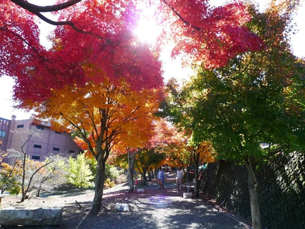 うぶや
