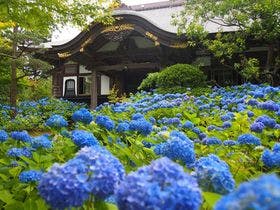 男鹿温泉 結いの宿 別邸つばき