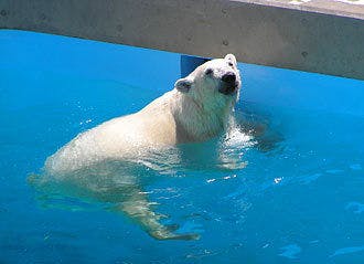 ＜「男鹿水族館GAO」チケット付き＞男鹿に来たら、「男鹿水族館GAO」でしょ！！