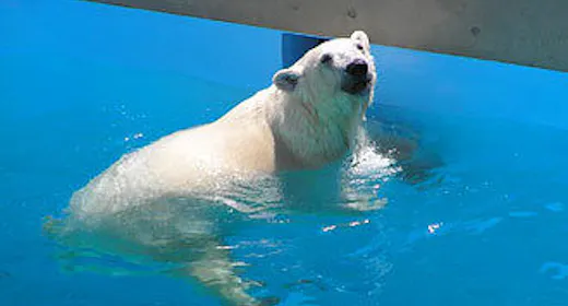 <「男鹿水族館GAO」チケット付き>男鹿に来たら、「男鹿水族館GAO」でしょ!!