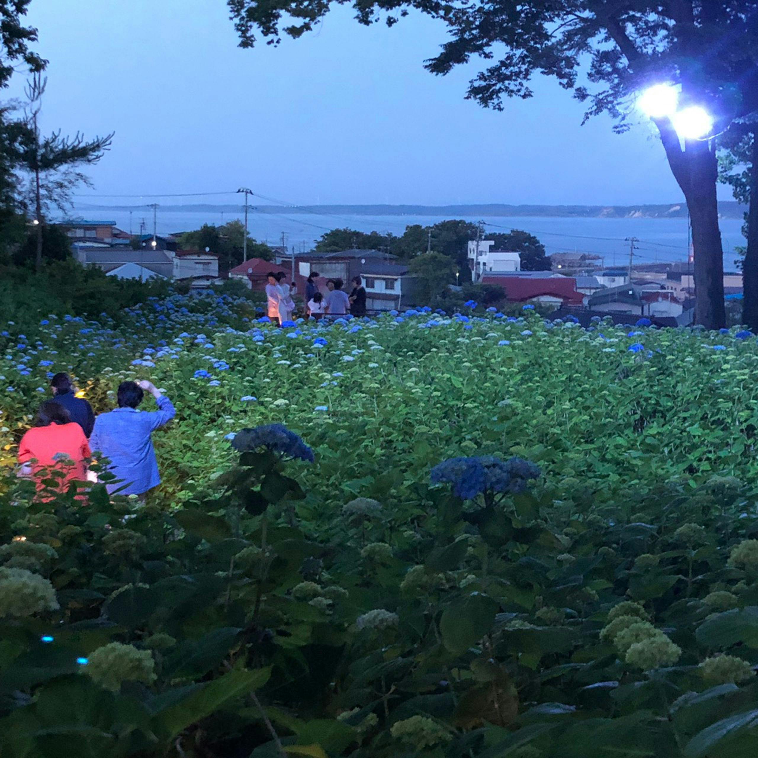 男鹿温泉　結いの宿　別邸つばき