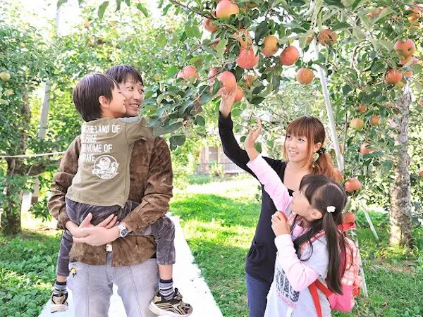 ~もぎたて果実と、森の休日~狩って、つくって、味わうフルーツ狩り 1泊2食付 ※マイカープラン