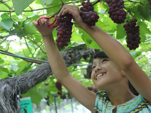 ~もぎたて果実と、森の休日~狩って、つくって、味わうフルーツ狩り 1泊2食付 ※マイカープラン