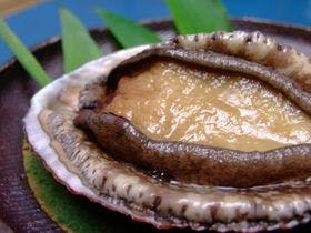 伊豆・下田の恵みと旬の食材　源泉掛流し　野の花亭　こむらさき