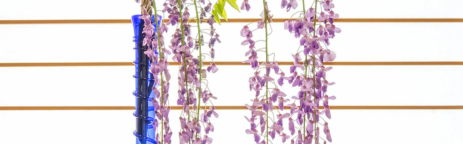 野の花亭 こむらさき