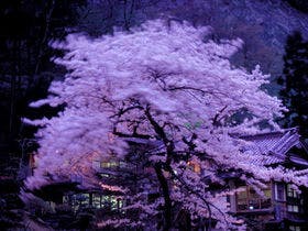 会津東山温泉 向瀧